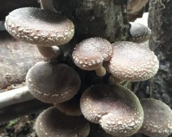 WhatsApp Image 2023-07-14 at 16.59.29